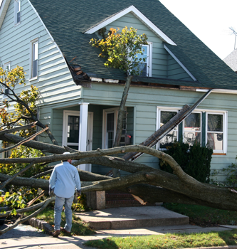 Emergency Tree Service