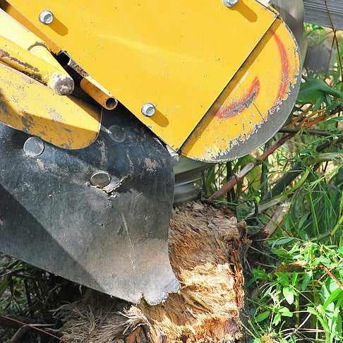 Stump Grinding and Removal Service