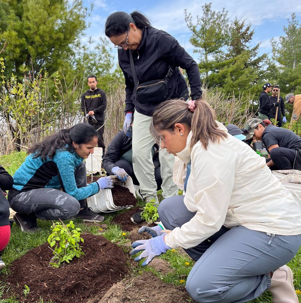 Tree Planting Services in Milwaukee, Wisconsin