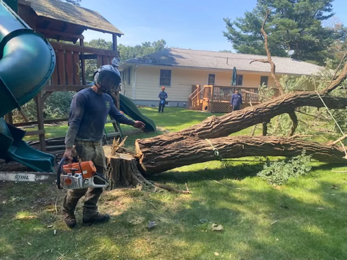 Emergency Tree Services in Milwaukee, Wisconsin