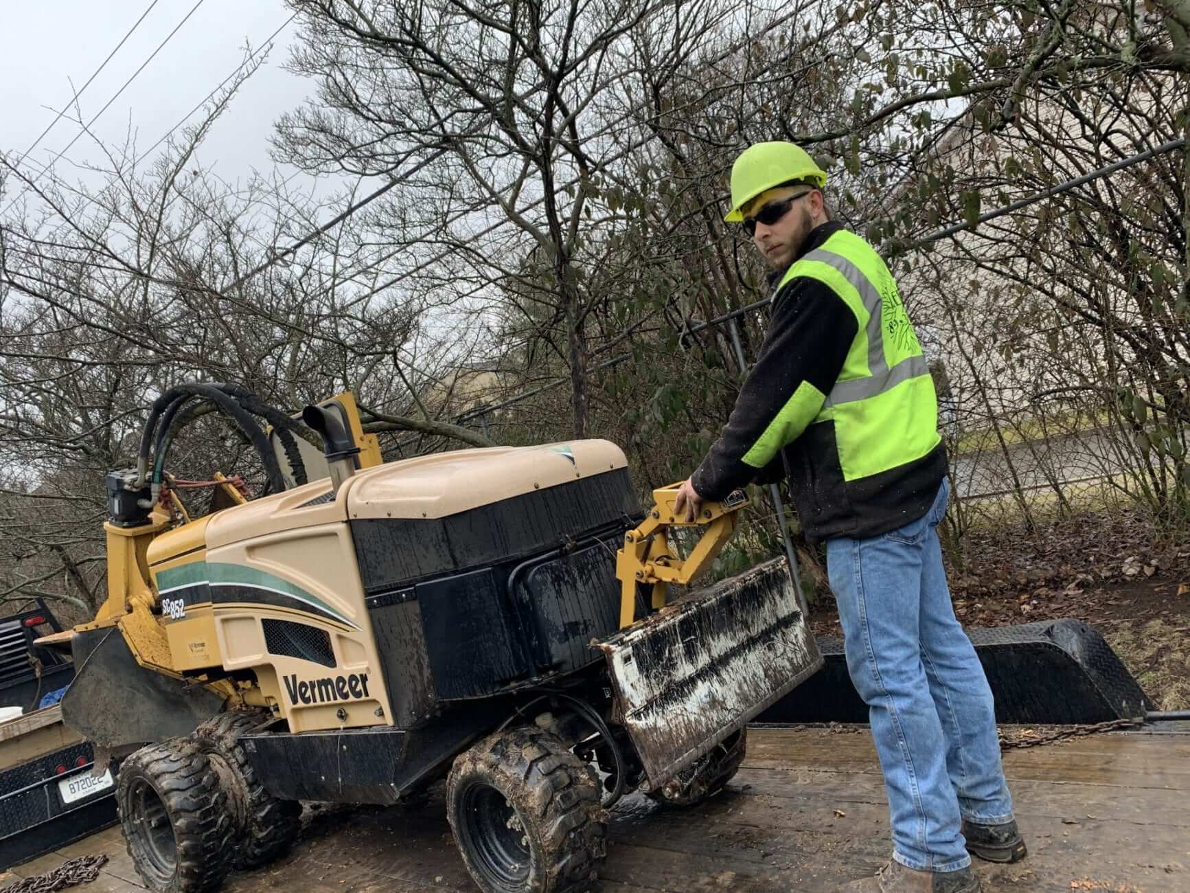 Stump Grinding and Removal Service in Milwaukee, Wisconsin