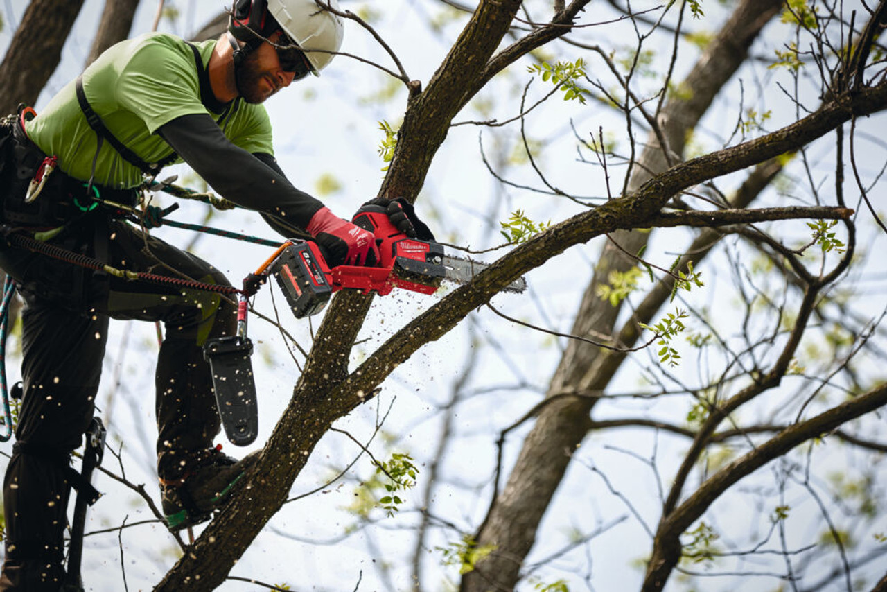 Milwaukee Tree Service