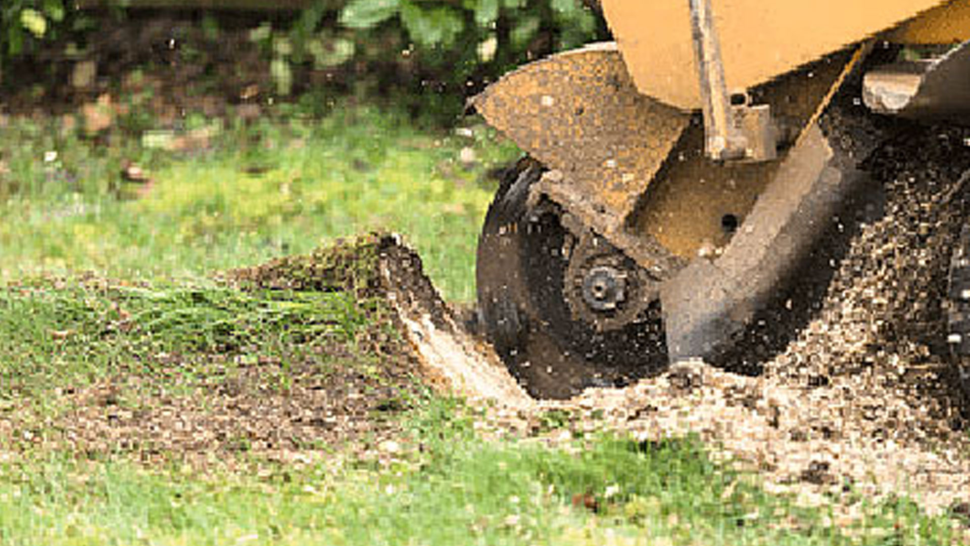 Stump Grinding and Removal Service in Milwaukee, Wisconsin