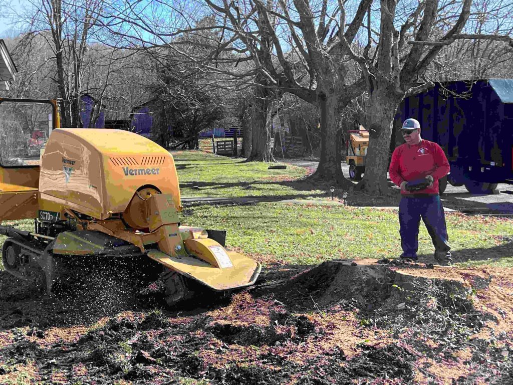 Stump Grinding and Removal Service in Milwaukee, Wisconsin