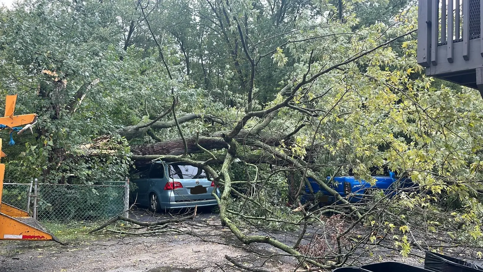 Emergency Tree Services in Milwaukee, Wisconsin