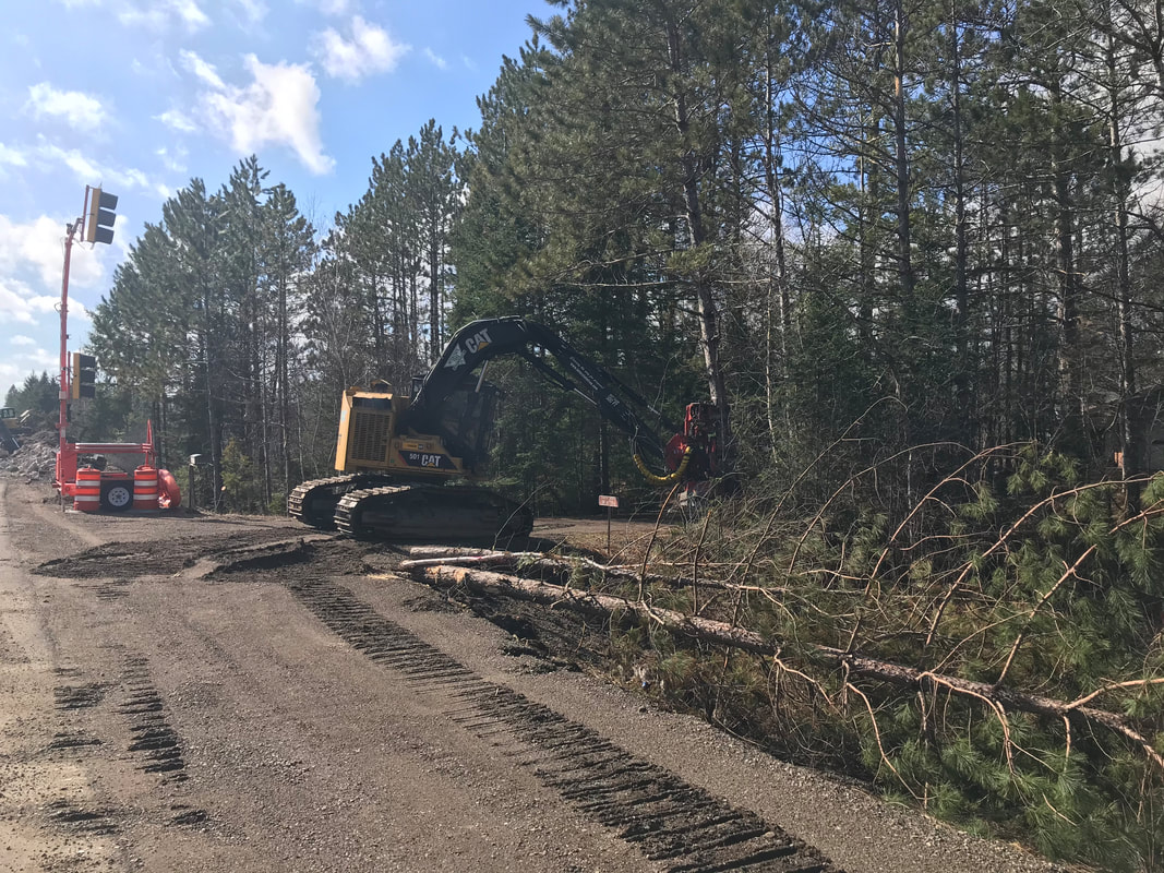 Tree Removal Service in Milwaukee, Wisconsin