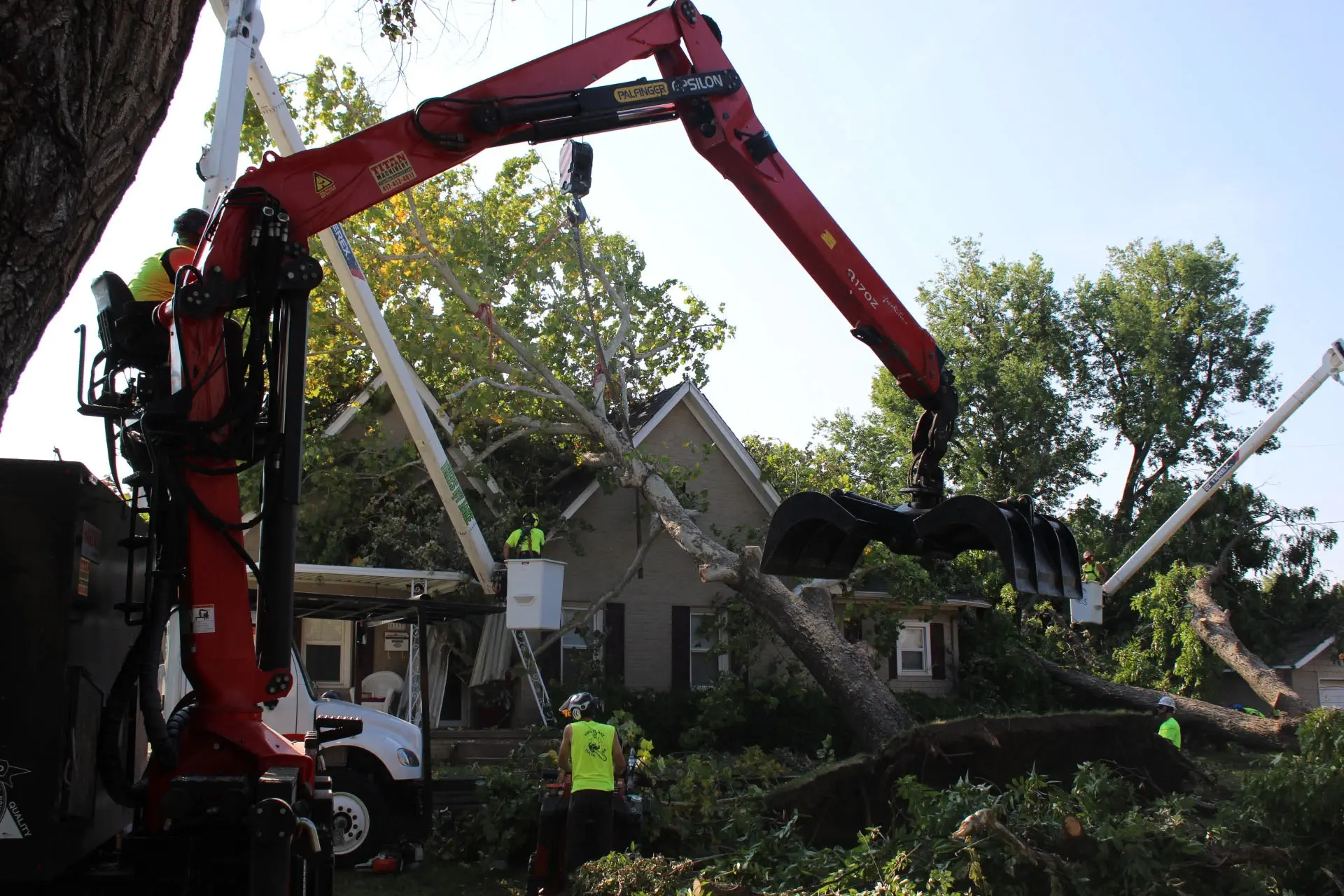 Emergency Tree Services in Milwaukee, Wisconsin