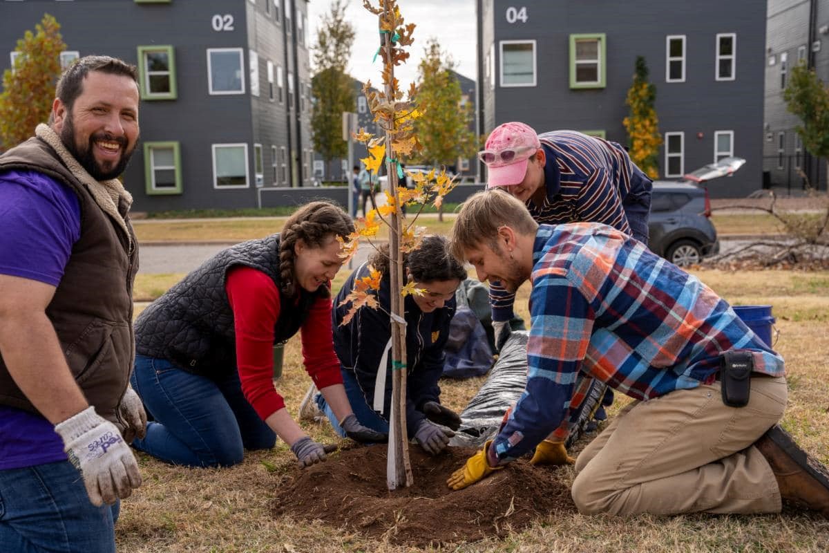 Tree Planting Services in Milwaukee, Wisconsin