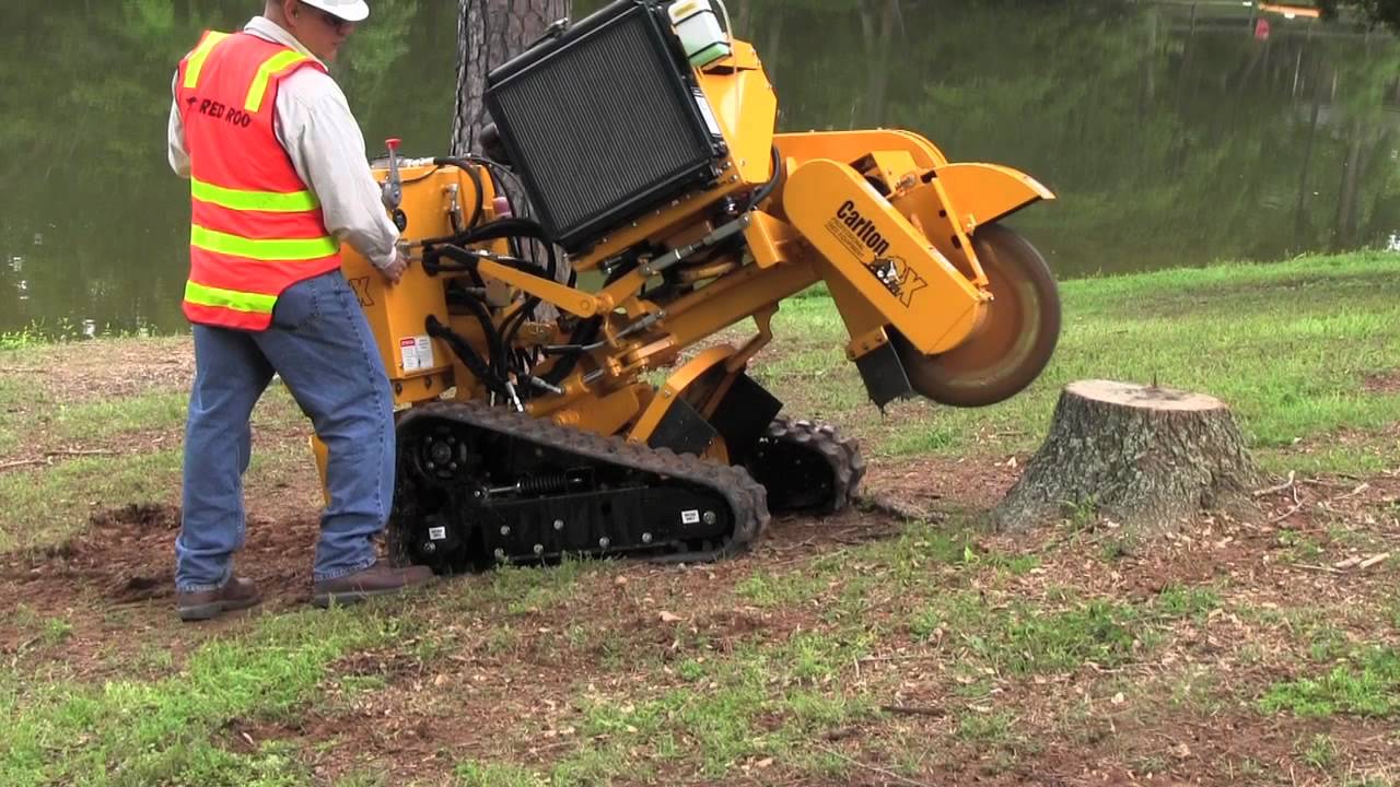 Stump Grinding and Removal Service in Milwaukee, Wisconsin