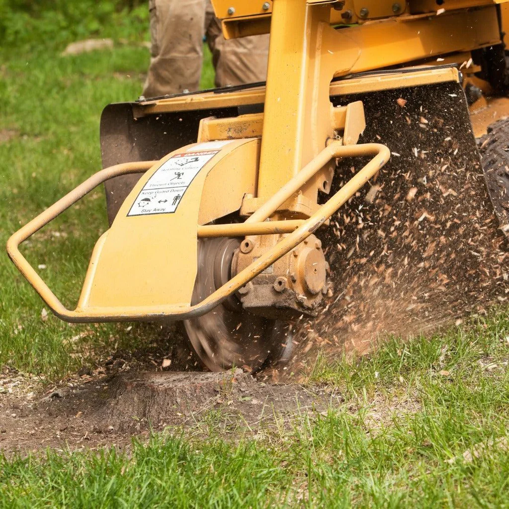 Stump Grinding and Removal Service in Milwaukee, Wisconsin