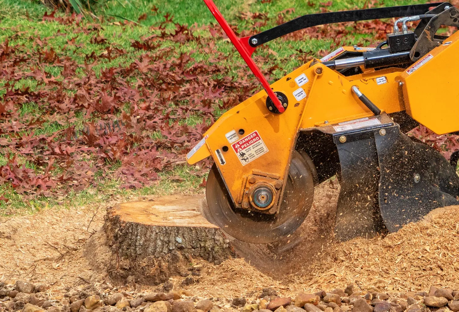 Stump Grinding and Removal Service in Milwaukee, Wisconsin